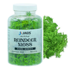 Jags Reindeer Moss - 20g for Terrariums and Crafts