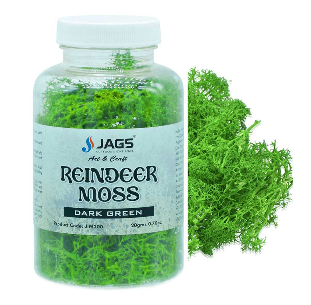 Jags Reindeer Moss - 20g for Terrariums and Crafts