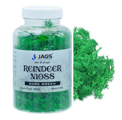 Jags Reindeer Moss - 20g for Terrariums and Crafts